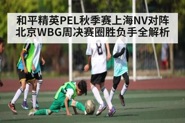 和平精英PEL秋季赛上海NV对阵北京WBG周决赛圈胜负手全解析