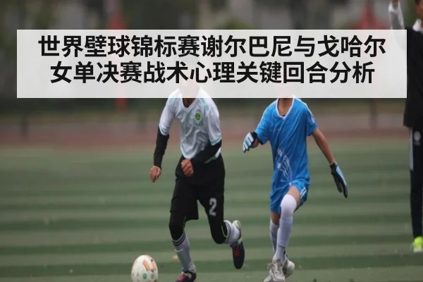 世界壁球锦标赛谢尔巴尼与戈哈尔女单决赛战术心理关键回合分析